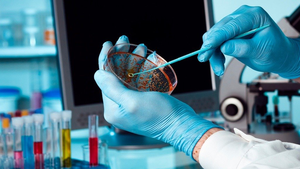 La armadura de tu laboratorio - Insumos Caballero