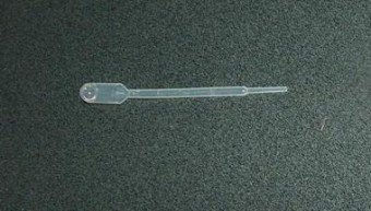 Pipeta De Transferencia 500pzs  5/1ML