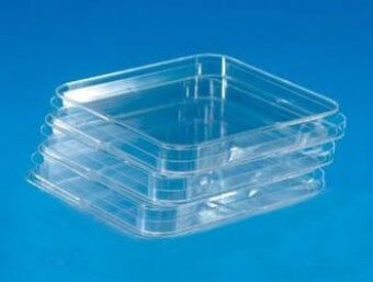 Caja petri cuadrada esteril  12*12cm