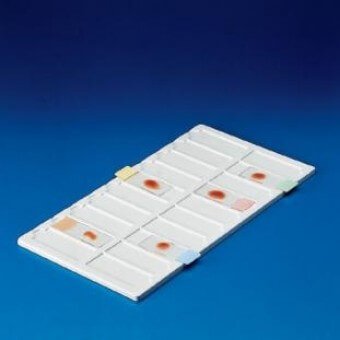 Charola De Pvc Para Portaobjetos 190 x 340 x 8mm