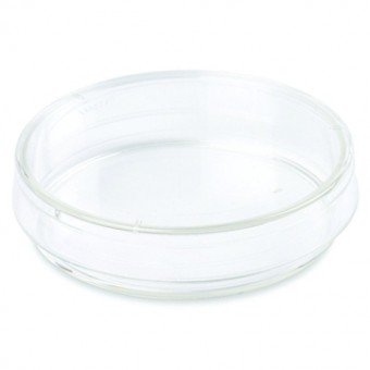 Caja petri 60*15mm