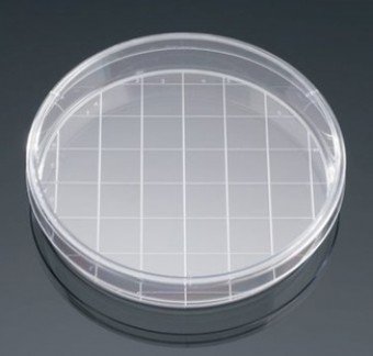 CAJA PETRI DESECHABLE 150*25mm