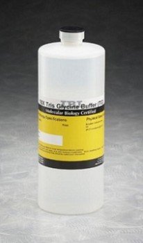 BUFFER TRIS-GLICINA-SDS 10X 1L