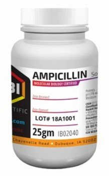 Ampicilina, sal de sodio 25g