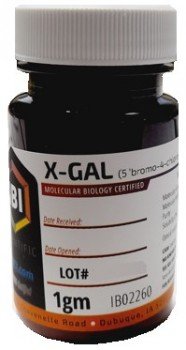 X-GAL 1g
