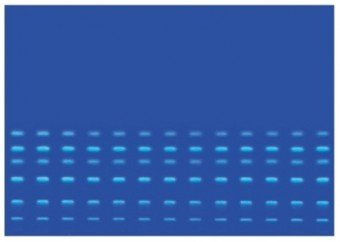 HPTLC SILICAGEL 10*10cm 25 PLACAS