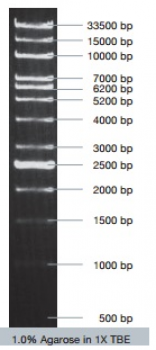 Marcador de DNA VC