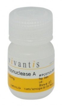 RIBONUCLEASA A (RNASA A) 250mg