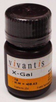X-GAL(5-Bromo-4-Chloro-3-Indolyl-beta-D-galactopyranoside) 1g