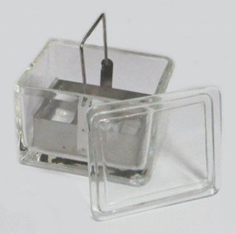 Caja de vidrio para tinción con rack 20pl