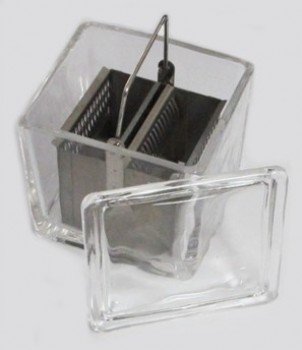 Caja de vidrio para tinción con rack 30pl