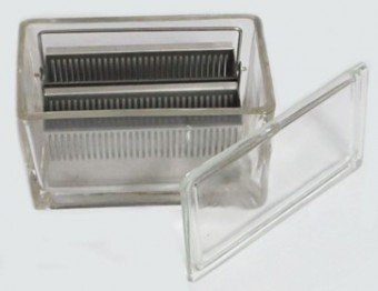 Caja de vidrio para tinción con rack 60pl