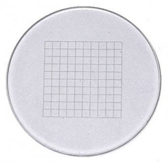 Reticula circular con 100 div