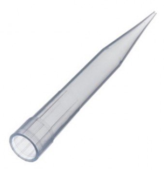 Punta clara 10ml