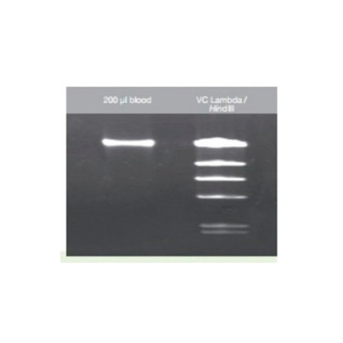 Kit de purificación de DNA 100 Pbas