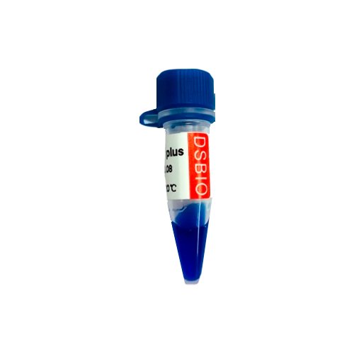Marcador DNA 50 BP PLUS 50 ug