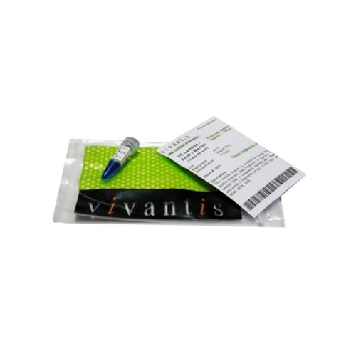 Marcador Lambda / Ecor I 50 ug (preparado)