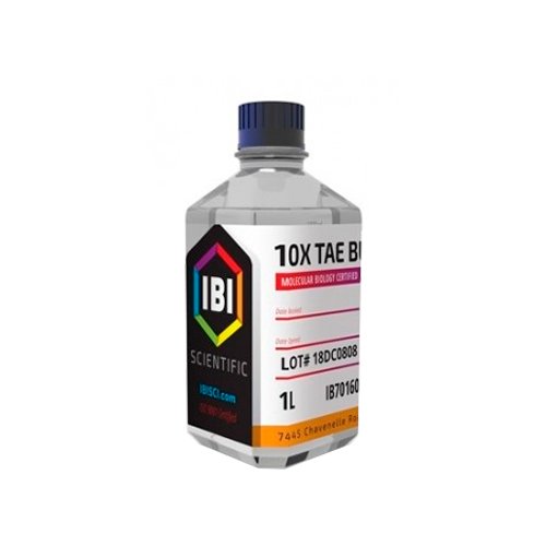 TAE 10 x buffer 1 L