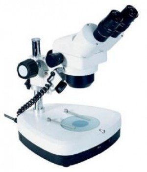 Microscopio estereoscopico binocular