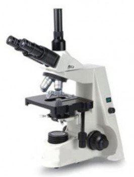 Microscopio triocular infinito
