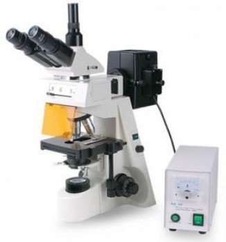 Microscopio triocular con epifluorescencia