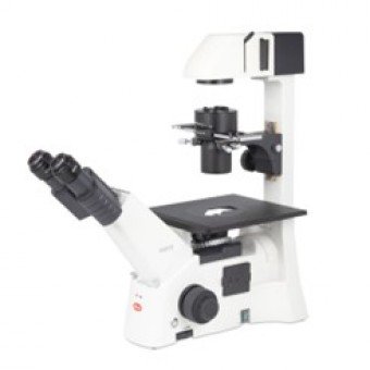 Microscopio invertido triocular