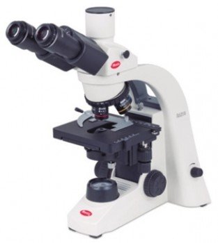 Microscopio triocular compuesto