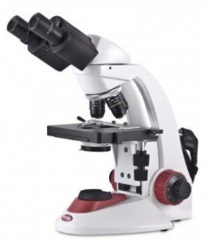 Microscopio compuesto binocular