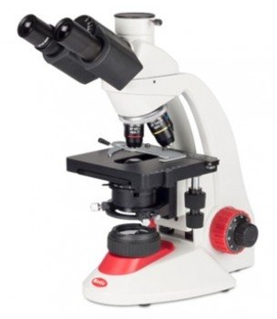Microscopio triocular cabeza con Siedentopf