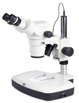 Microscopio Estereoscopico Binocular