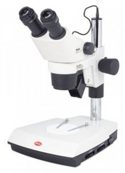 Microscopio estereoscopico binocular
