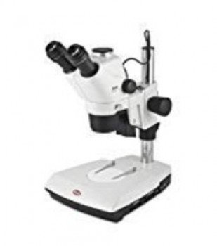 Microscopio estereoscopico triocular LED