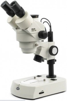 Microscopio estereoscopico triocular led