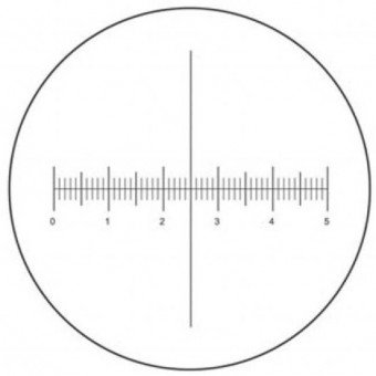 Reticula con micrometro