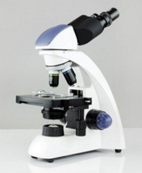 Microscopio biologico binocular