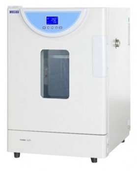 Incubadora digital de piso 250L