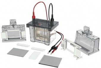 Camara de electroforesis vertical doble placa