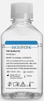 Tae buffer (1X) pH 8.0 para Electroforesis